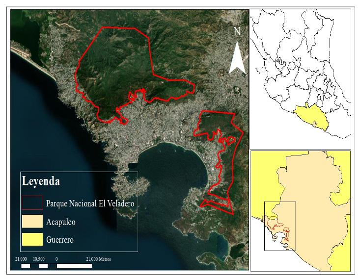 Mapa

Descripción generada automáticamente